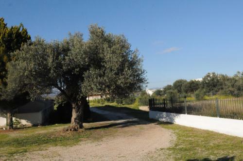 Rossa Studios