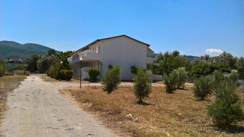 Rossa Studios