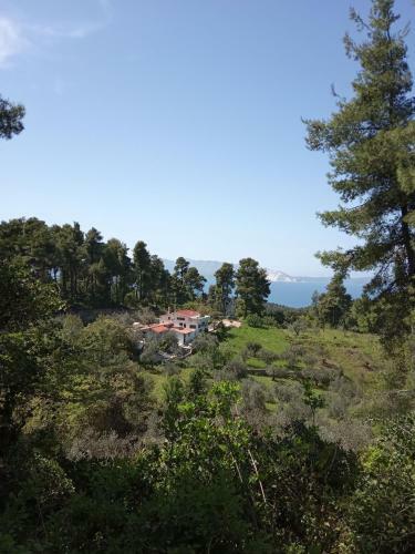 Apartamento Houni House