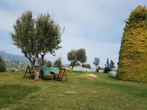Groundfloor Luxury Villa Heraklion