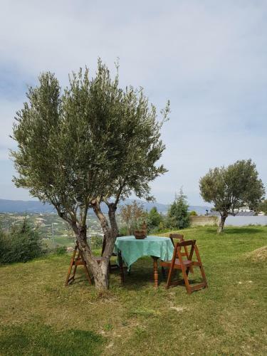 Groundfloor Luxury Villa Heraklion
