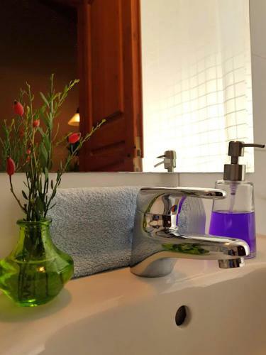 Hotel Helicon Muses Friendly Mountain B&B Guesthouse