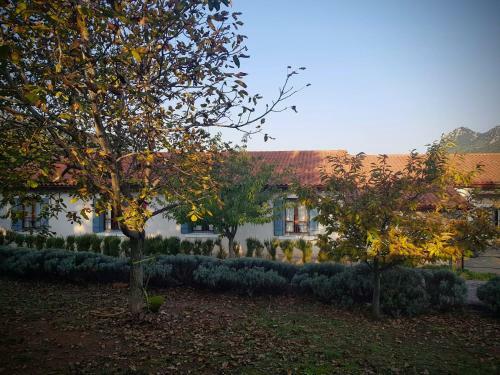 Hotel Helicon Muses Friendly Mountain B&B Guesthouse
