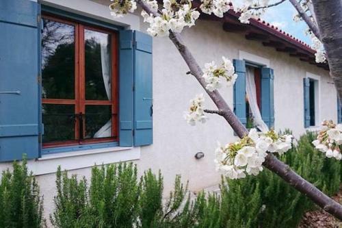Hotel Helicon Muses Friendly Mountain B&B Guesthouse