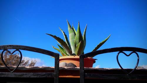 Hotel Helicon Muses Friendly Mountain B&B Guesthouse