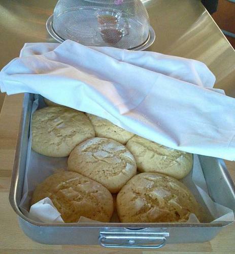Hotel Helicon Muses Friendly Mountain B&B Guesthouse