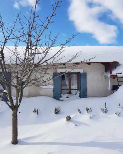 Hotel Helicon Muses Friendly Mountain B&B Guesthouse
