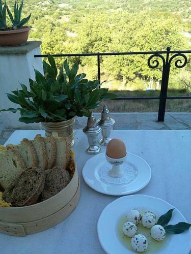 Hotel Helicon Muses Friendly Mountain B&B Guesthouse