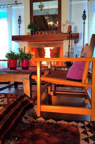 Hotel Helicon Muses Friendly Mountain B&B Guesthouse