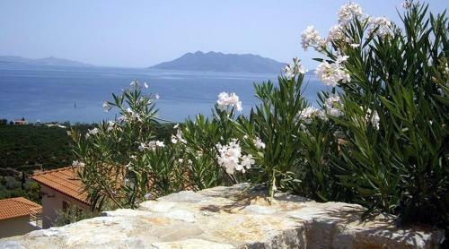 Vip House On The Hill 2
