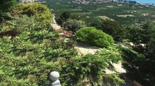 Vip House On The Hill 2