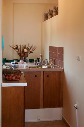 Apartamento Ellinas Homes