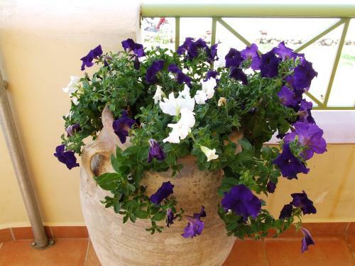 Apartamento Ktima Develekou