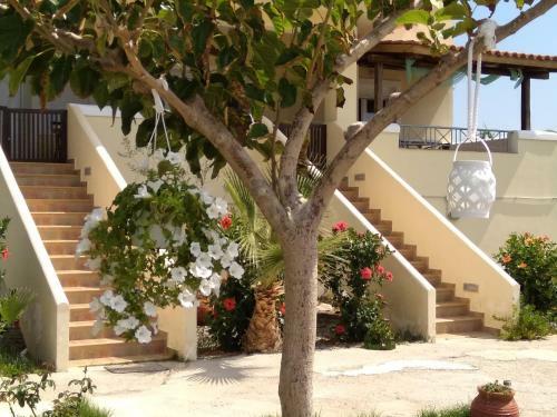 Apartamento Ktima Develekou