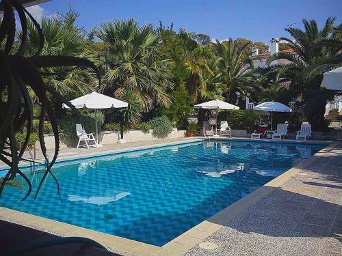 Alepokhori Beach Stunning Villa With Olympic Pool
