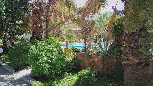 Alepokhori Beach Stunning Villa With Olympic Pool