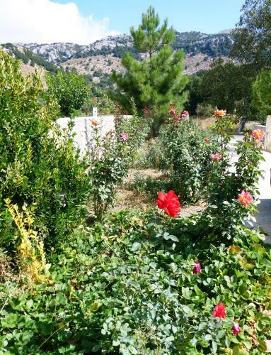 Hostal Maison Kronio Lassithi Plateau