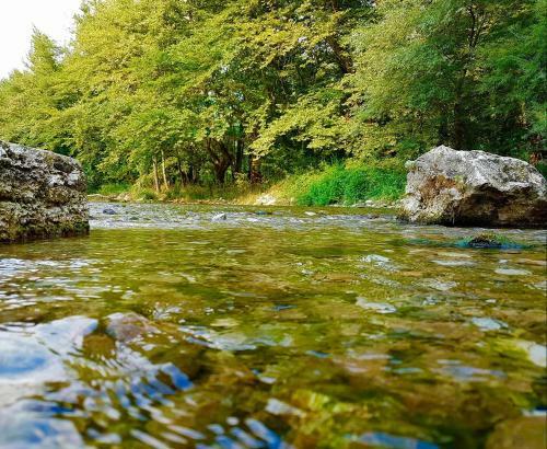 Hostal Dipla Sto Potami (Next To The River)