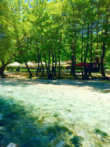 Hostal Dipla Sto Potami (Next To The River)