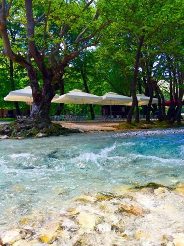 Hostal Dipla Sto Potami (Next To The River)