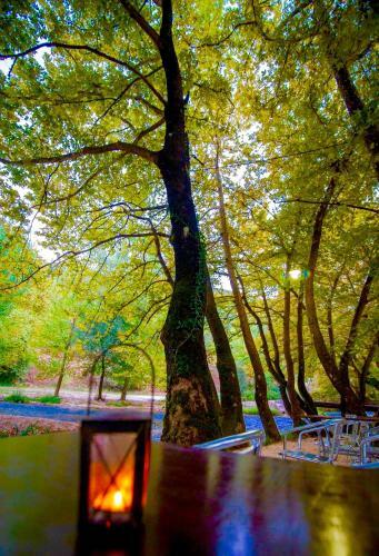 Hostal Dipla Sto Potami (Next To The River)
