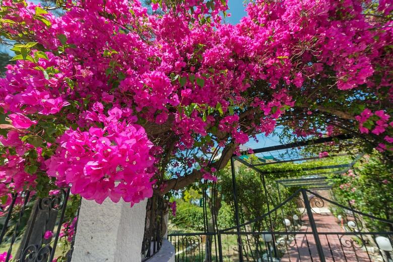 Villas Marianna
