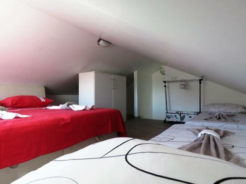 Apartment In Center