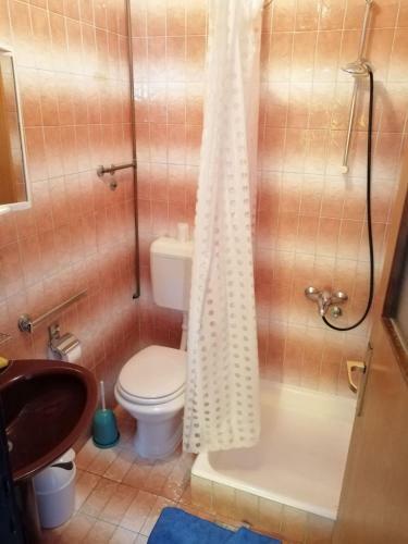 Cozy Apartment Branka With Nice Garden