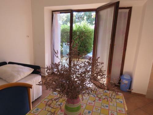 Apartments Evita