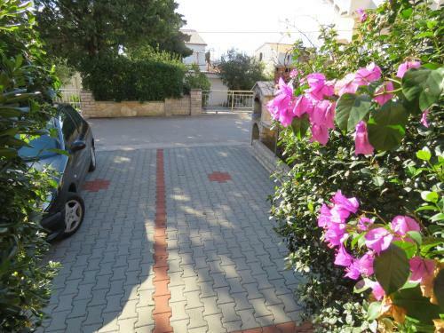 Apartments Evita