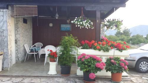 Apartments Lucija