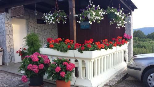 Apartments Lucija