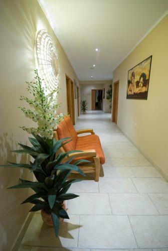 Hotel Picok