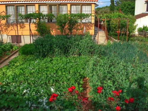 Apartamentos Studio Nerezine 14542a