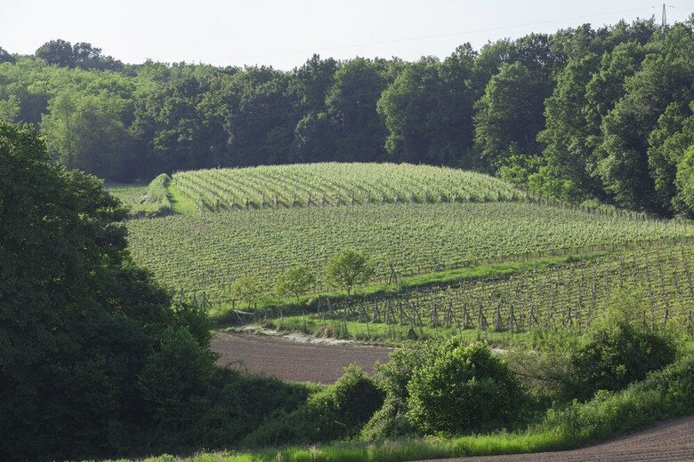 Agroturismo Pension Kezele