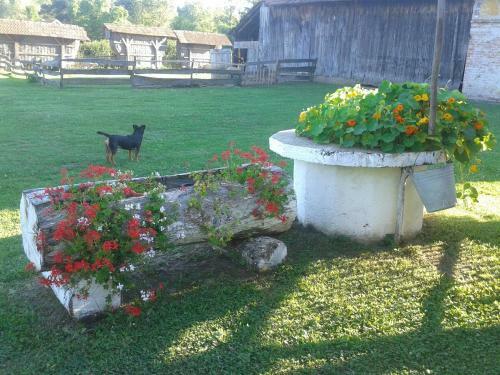 Bed & Breakfast Country House Ivan?an
