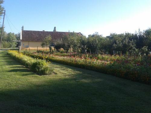 Bed & Breakfast Country House Ivan?an