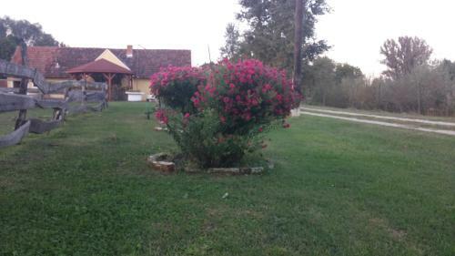 Bed & Breakfast Country House Ivan?an