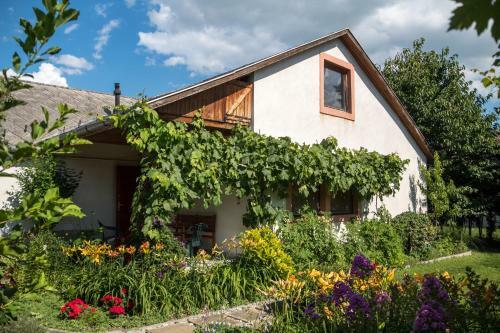 Anik� Apartman