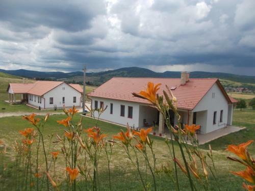 Hostal B�nv�lgye Guest House