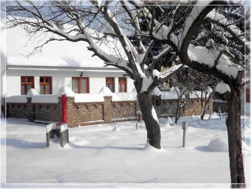 Apartamento Bogy�lak Palkonya