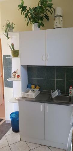 Hostal Gy�rgy Vend�gh�z