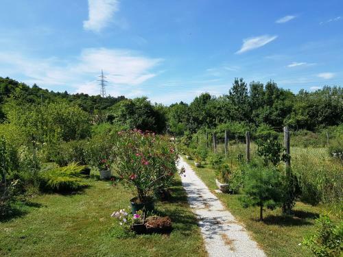 Bed & Breakfast Kincsesb�nya