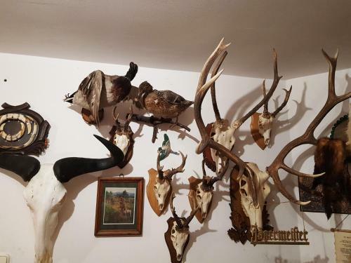 Bed & Breakfast Kincsesb�nya