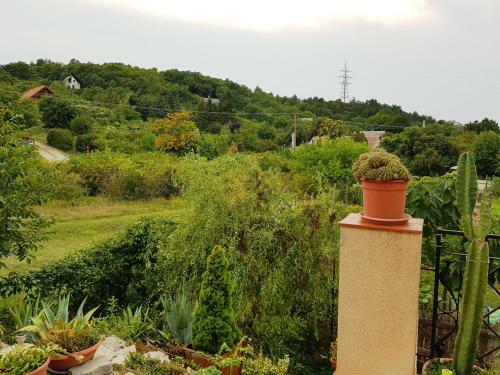 Bed & Breakfast Kincsesb�nya
