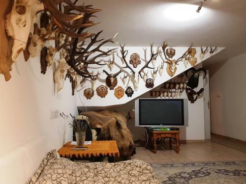 Bed & Breakfast Kincsesb�nya