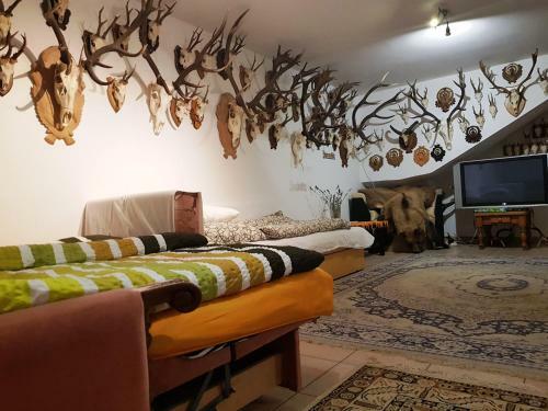 Bed & Breakfast Kincsesb�nya