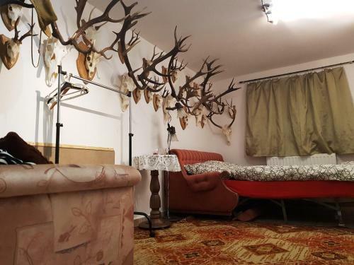 Bed & Breakfast Kincsesb�nya