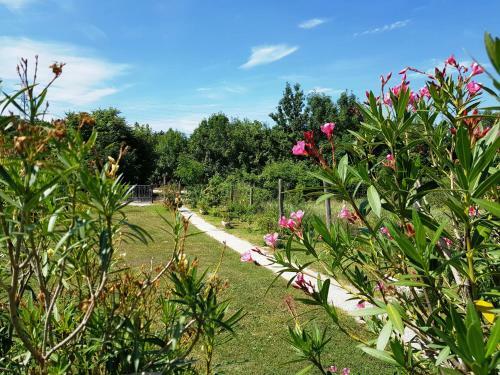Bed & Breakfast Kincsesb�nya
