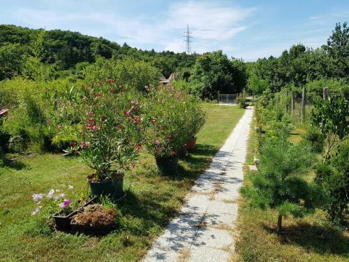 Bed & Breakfast Kincsesb�nya